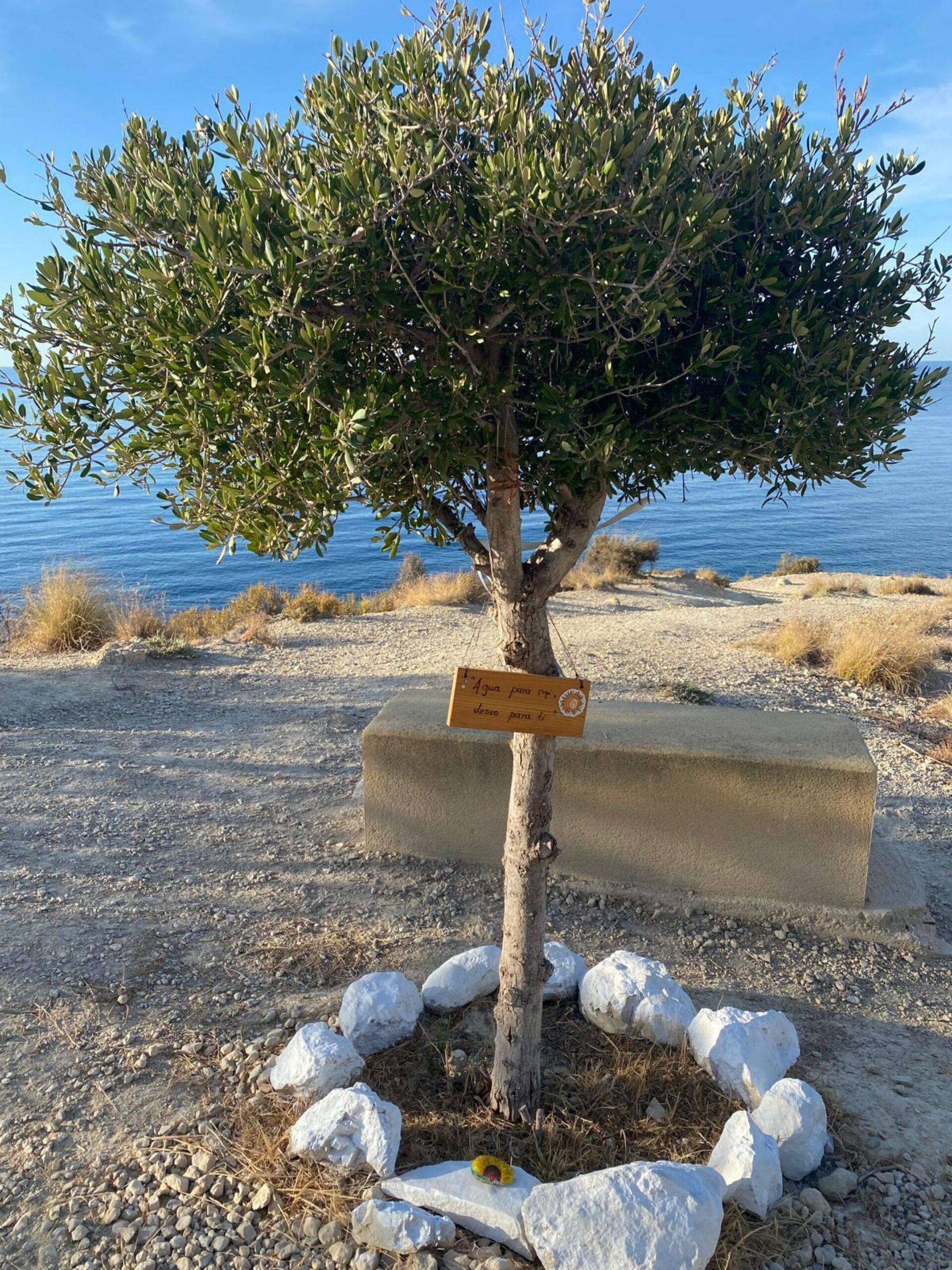 IMG 20260906 WA0023
